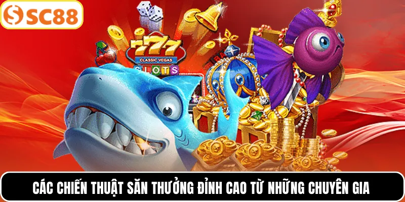 Các chiến thuật săn thưởng đỉnh cao từ những chuyên gia