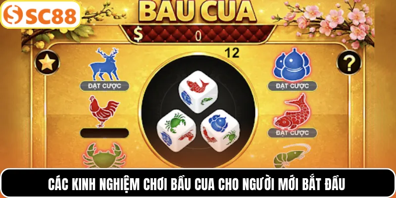 Các kinh nghiệm chơi bầu cua cho người mới bắt đầu